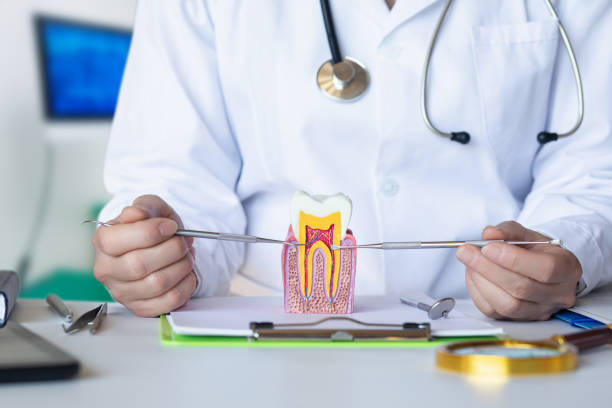 Best Emergency Cosmetic Dentistry in Moodys, OK